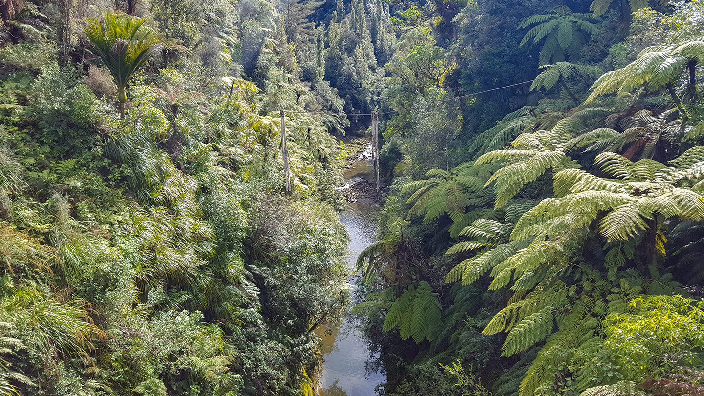 Matemateaonga Track Tramp - Whanganui River Adventures