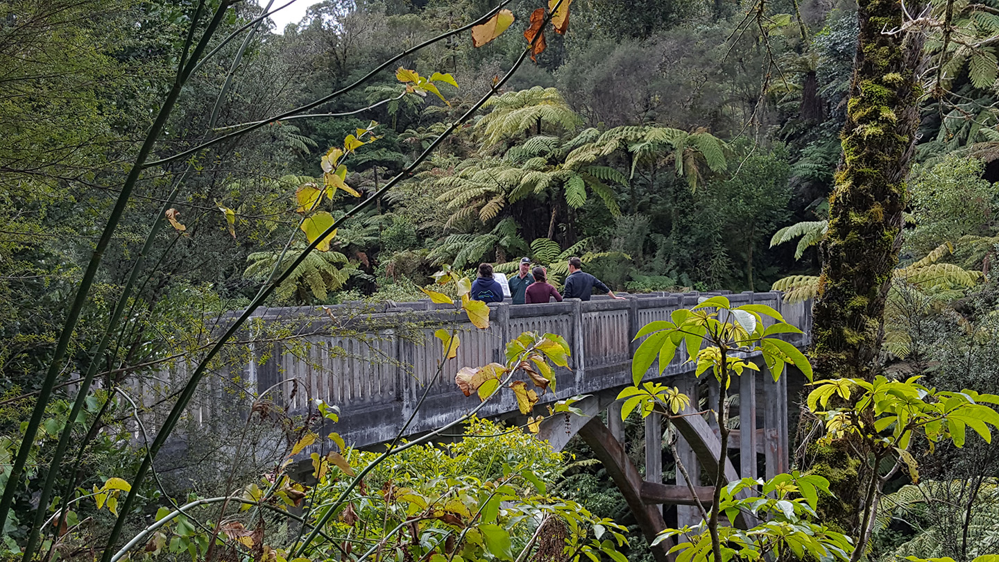 Bridge to Nowhere Tour - Whanganui River Adventures